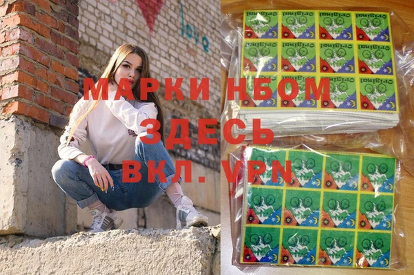 шишки Абаза