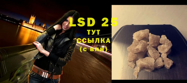 шишки Абаза