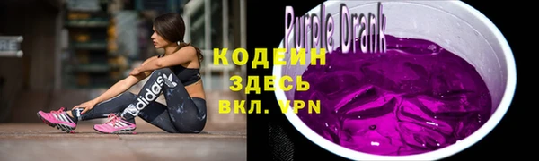 шишки Абаза