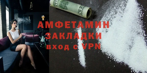 шишки Абаза