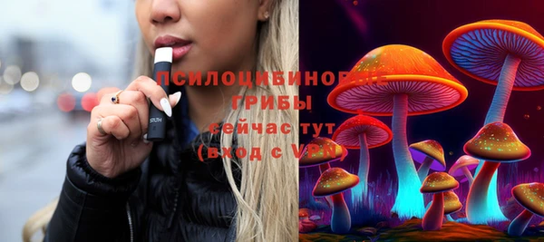 молекула духа Алзамай